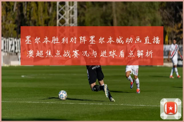 墨尔本胜利对阵墨尔本城动画直播 澳超焦点战赛况与进球看点解析