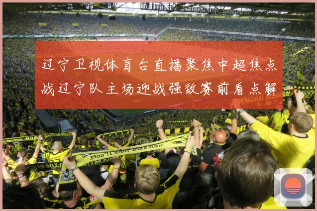 辽宁卫视体育台直播聚焦中超焦点战辽宁队主场迎战强敌赛前看点解析