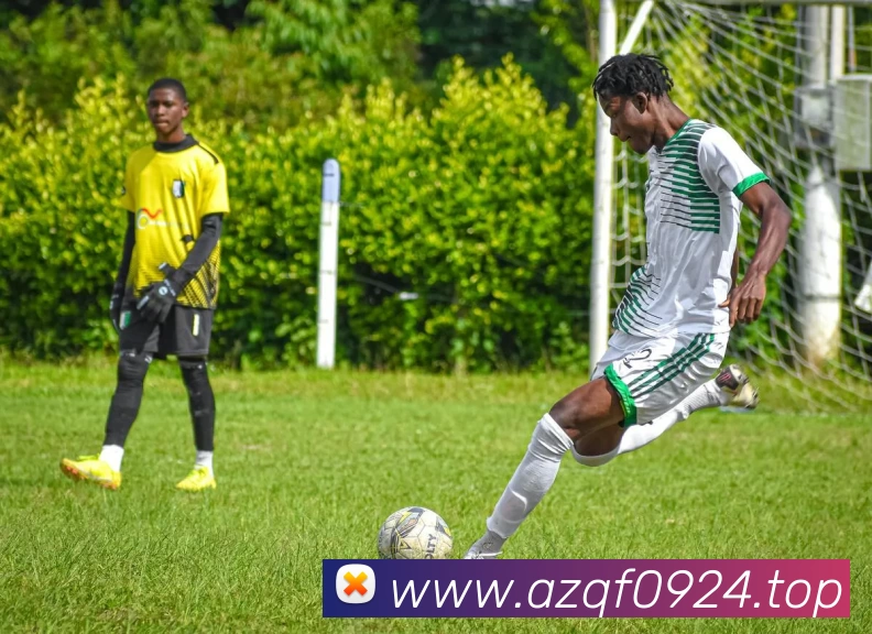 开云 - Kaiyun(体育中国)官方网站发展历程